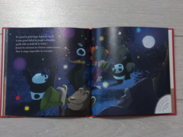 Le singe et le léopard - photo numéro 4