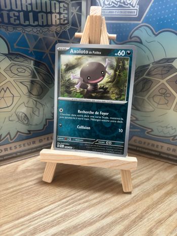 Axoloto de Paldea reverse