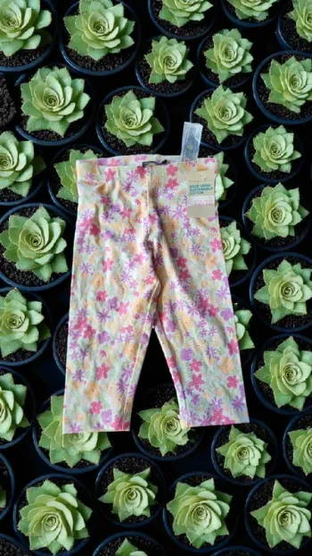 Legging 12/18 mois primark