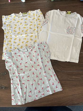 Lot 3 t-shirts TAO fille