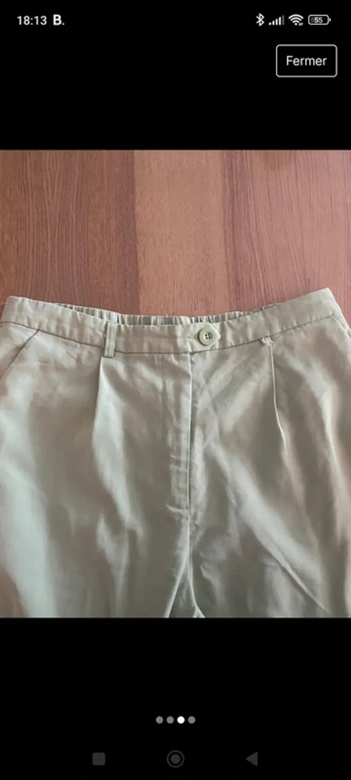 Pantalon pince - photo numéro 3