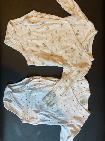 Lot 2 bodies