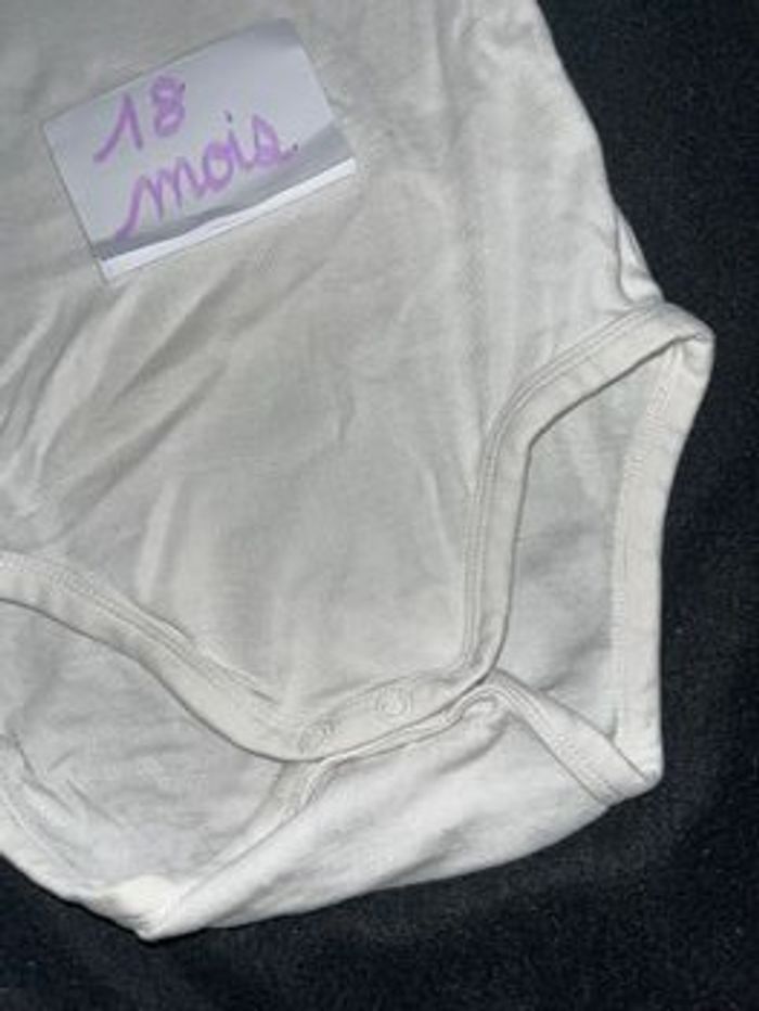 Bodie 18 mois - photo numéro 2