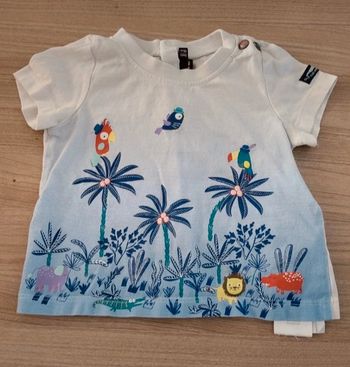 T-shirt taille 6 mois (68 cm)