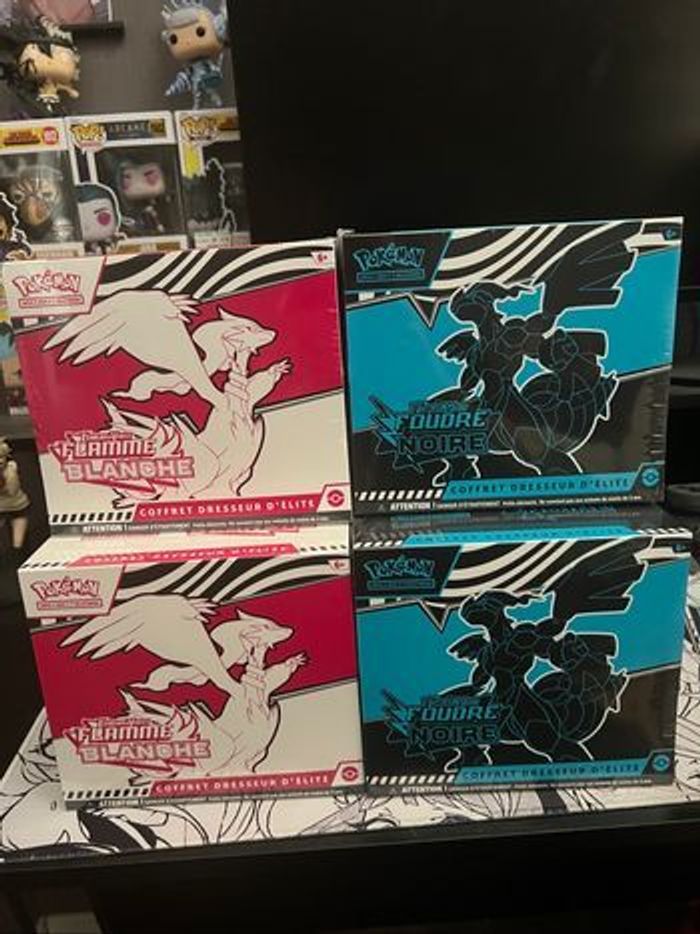 Lot etb ev10.5 (6)