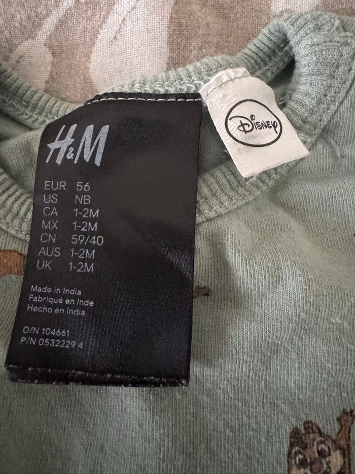 Grenouillères - photo numéro 4