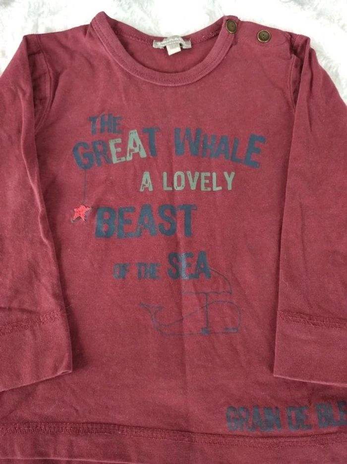 Tee shirt manches longues Garçon 18 mois Baleine Grain de blé 100% coton - photo numéro 4