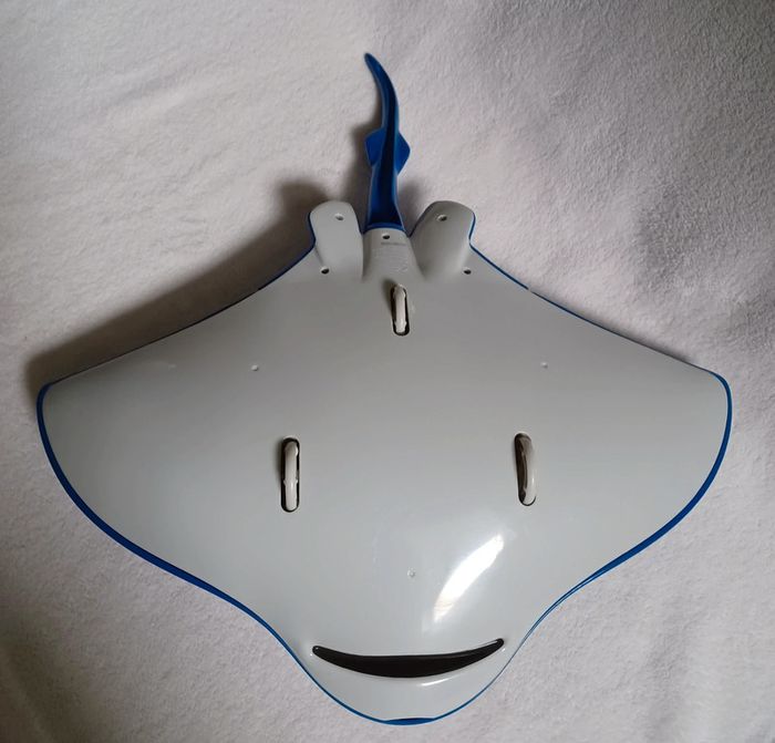 Mr Raie - photo numéro 2