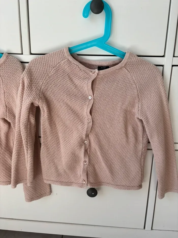 Gilets roses - photo numéro 2