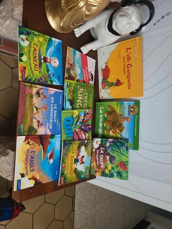 Lot de 10 livres enfant