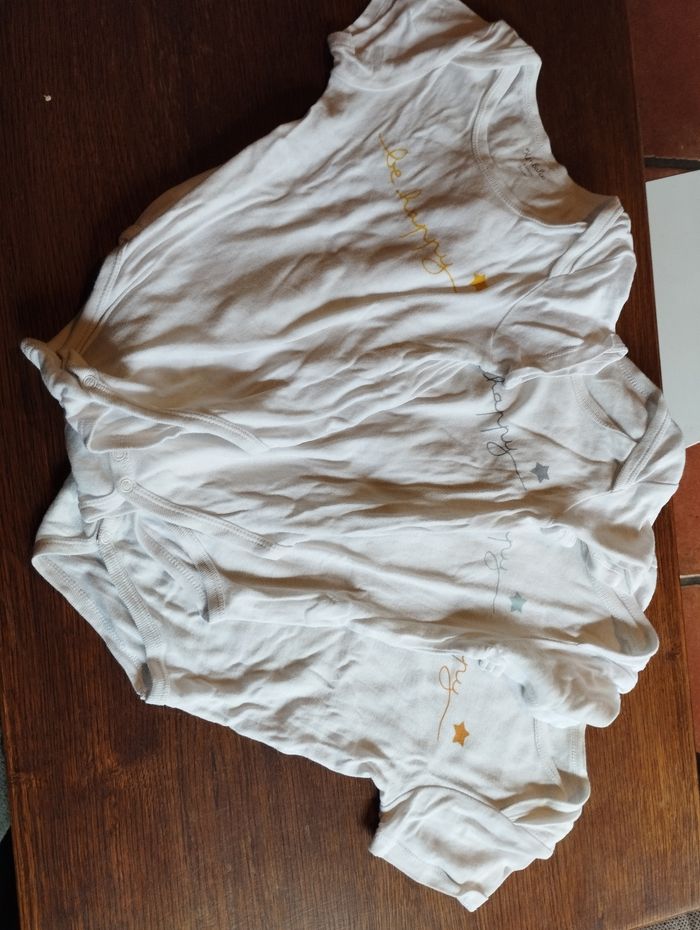 Bodies