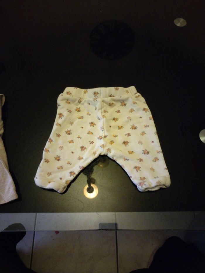 Ensemble - photo numéro 6