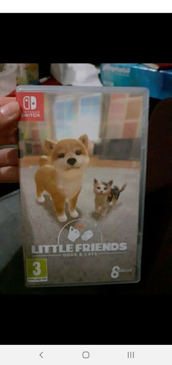 Little friends switch