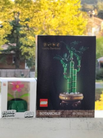 Lego bambou et Mini plante solaire fleur dansante