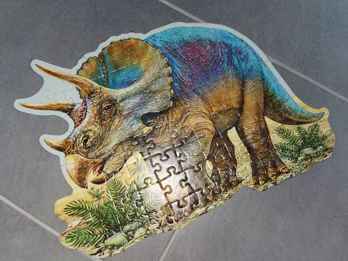 Puzzle - photo numéro 2