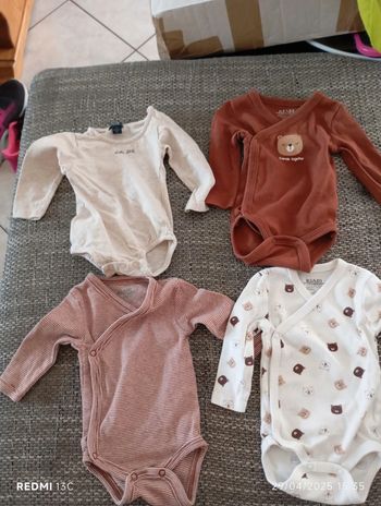 Lot 4 bodies
