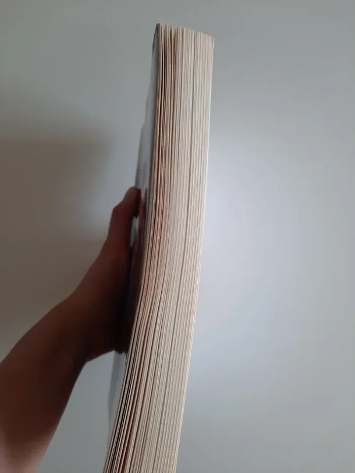 livre orphelin des mots - photo numéro 6