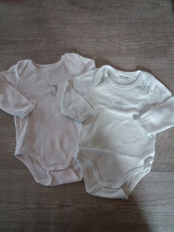 Lot 2 bodys 6 mois