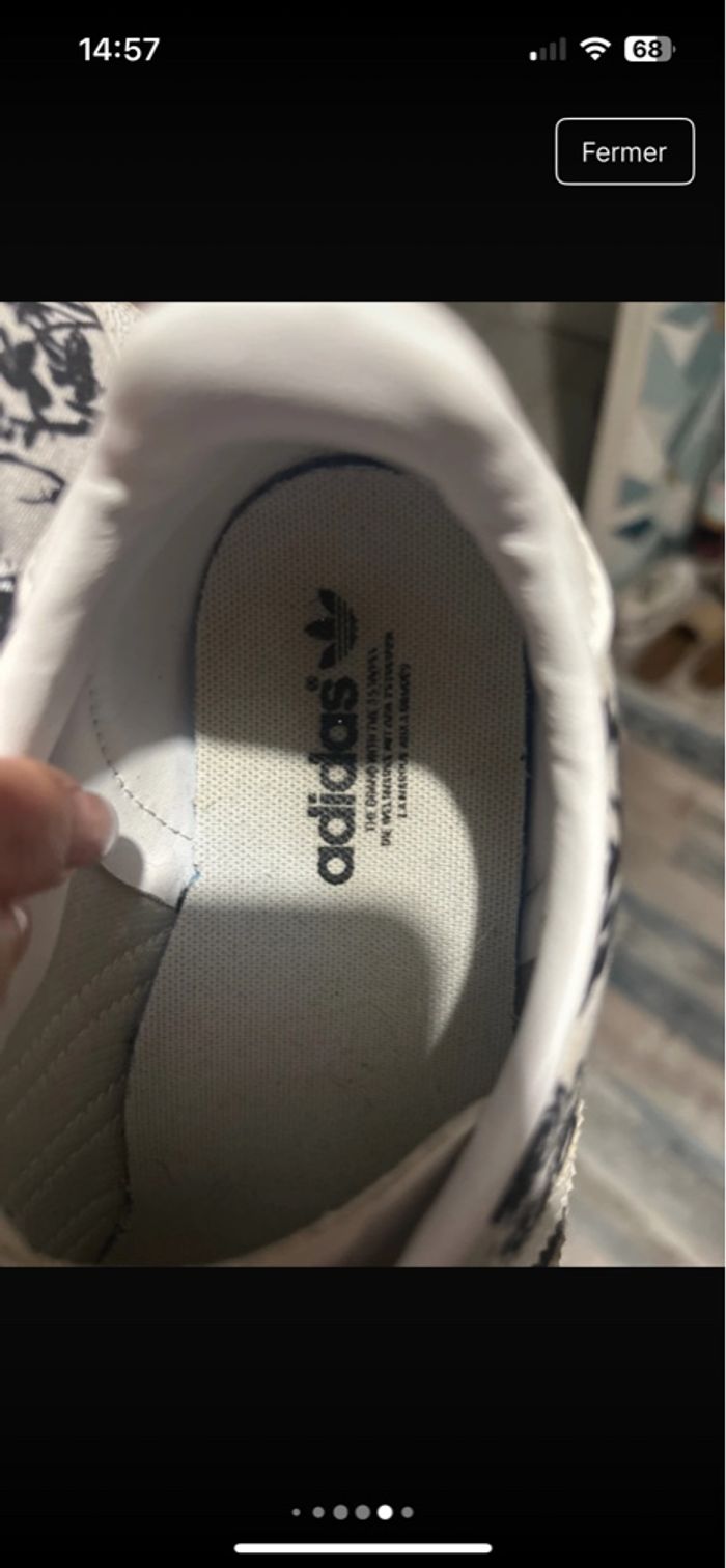 Gazelle - photo numéro 3