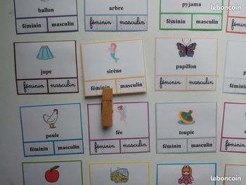 Jeu grammaire masculin féminin