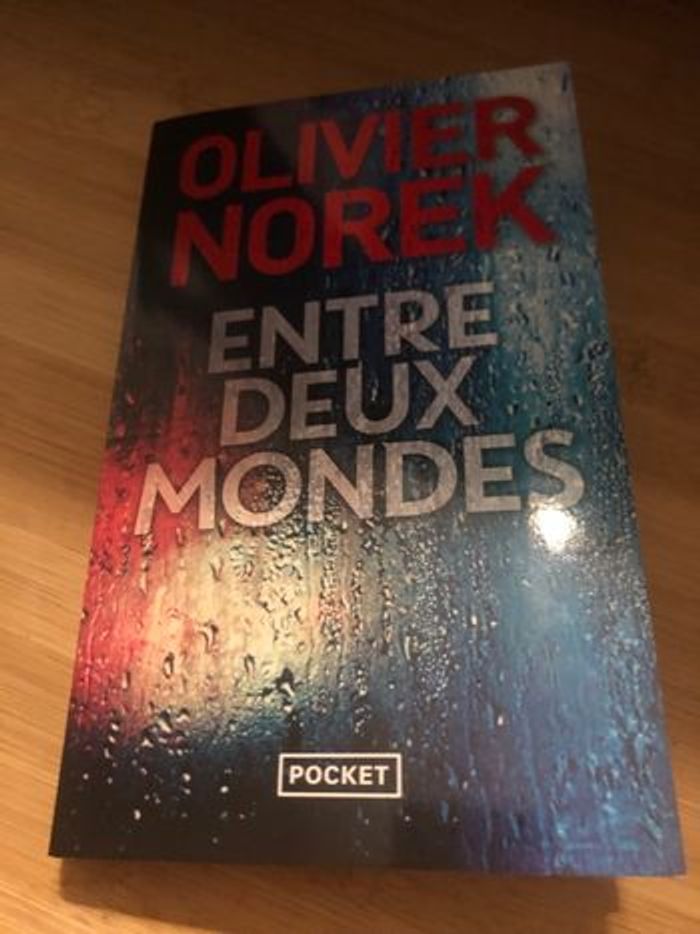 Livre Olivier Norek Entre deux mondes