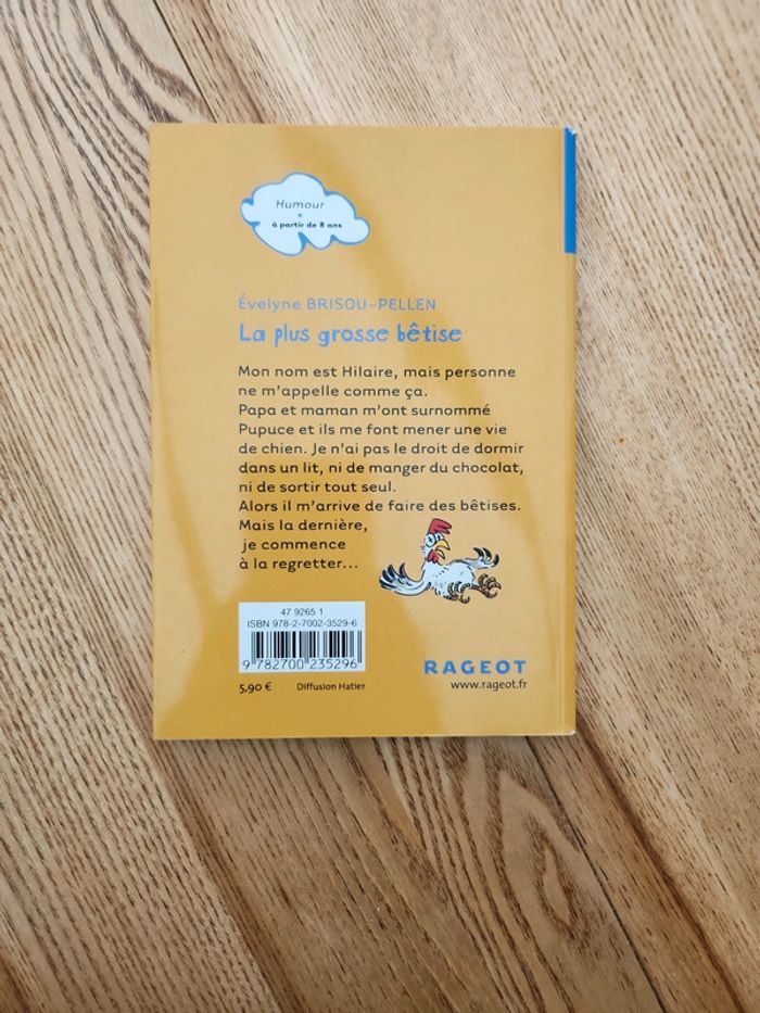 Livre la plus grosse bêtise - photo numéro 2