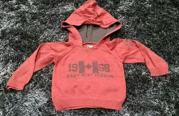 Pull léger à capuche - 9 mois