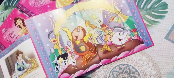 Livres la belle et la bête - photo numéro 5