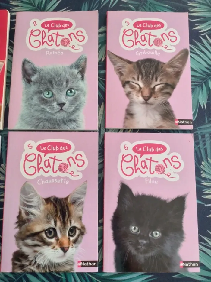 Livres enfant Le Club des chatons, tomes 1 à 6 - photo numéro 3