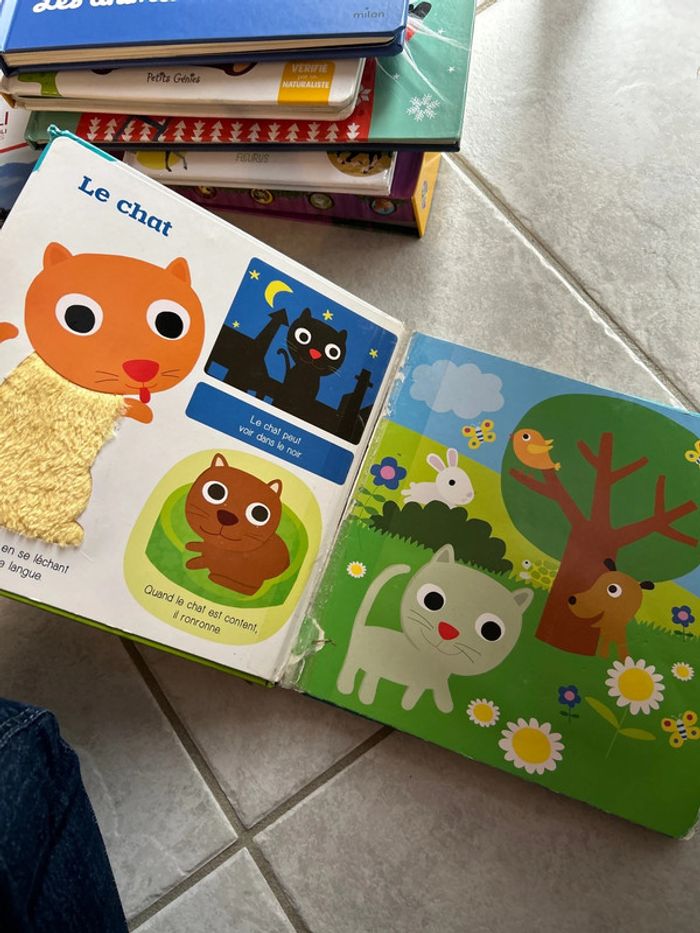 Livre enfant - photo numéro 2