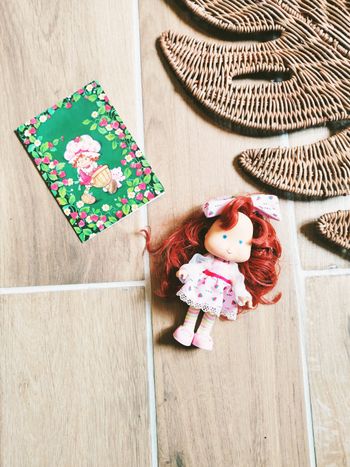 🍓Poupée Charlotte aux fraises n°27 Charlotte aux fraises Berrykin avec sa carte postale collection Altaya