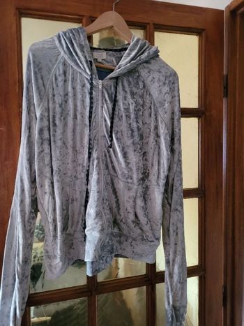 Sweat à capuche velours Anne Élisabeth 42