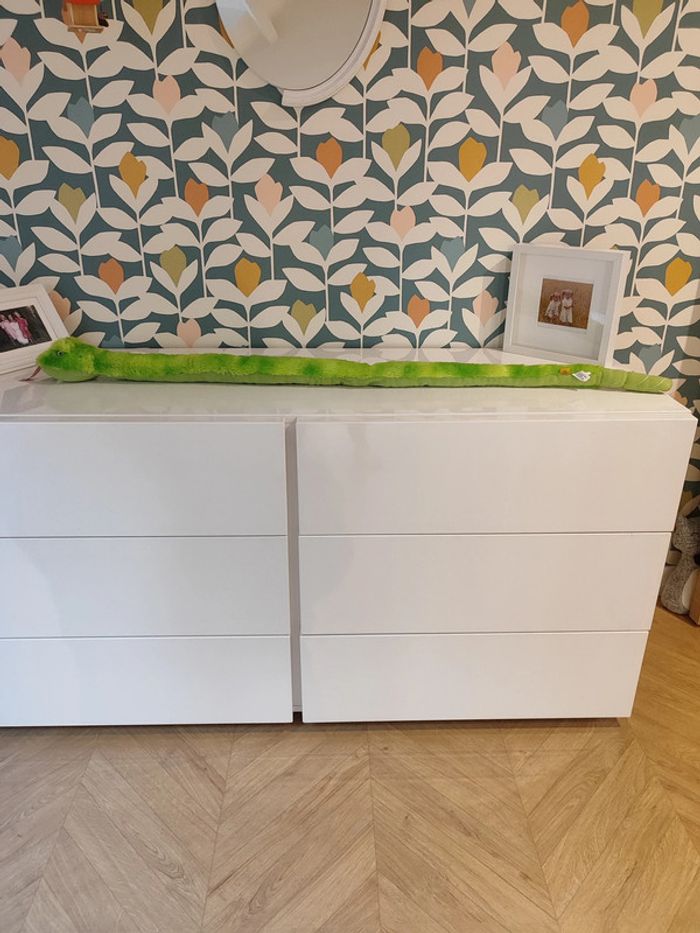 Serpent republic wild - photo numéro 6