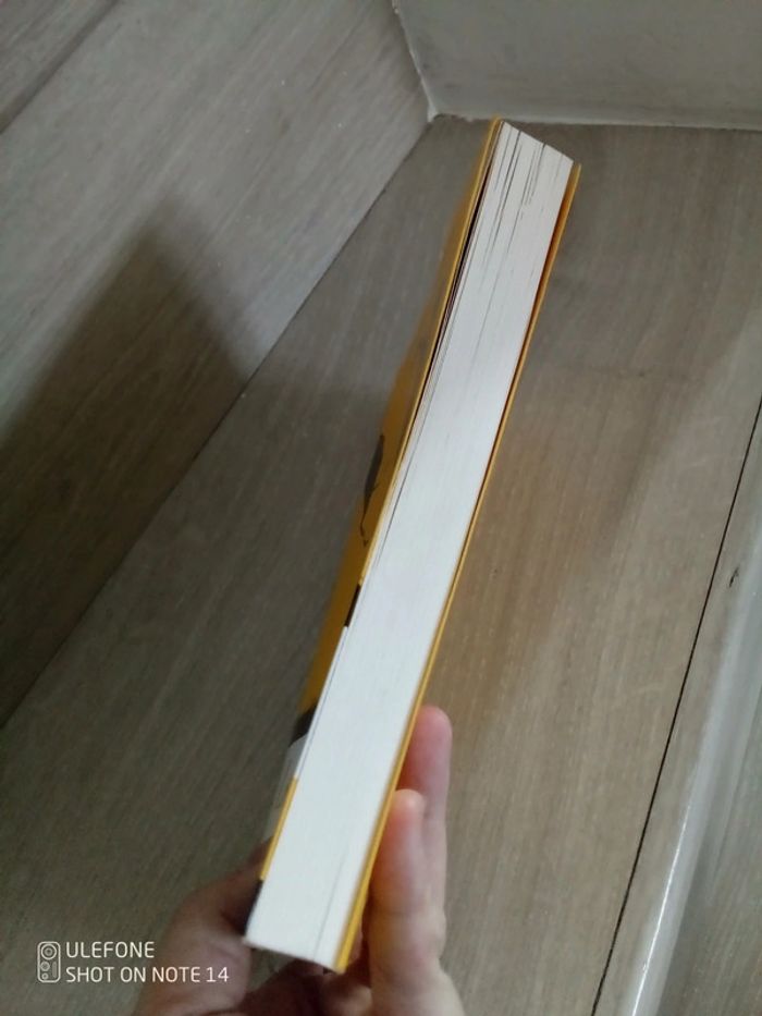 Roman le cerf volant , grand format avec jacquette - photo numéro 4