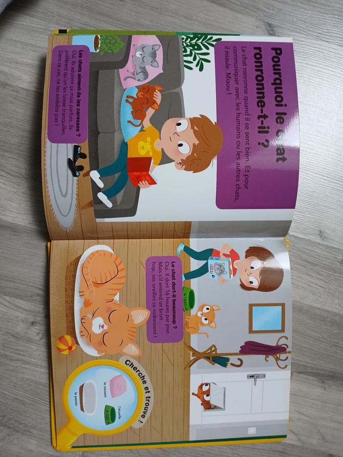 Mes premières questions réponses - photo numéro 3