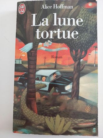 La lune tortue 🐢 Alice Hoffman