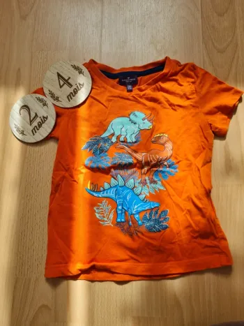 Tee shirt dinosaure