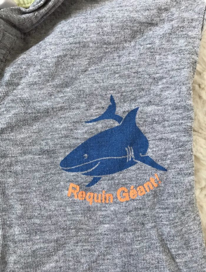 T-shirt - photo numéro 4