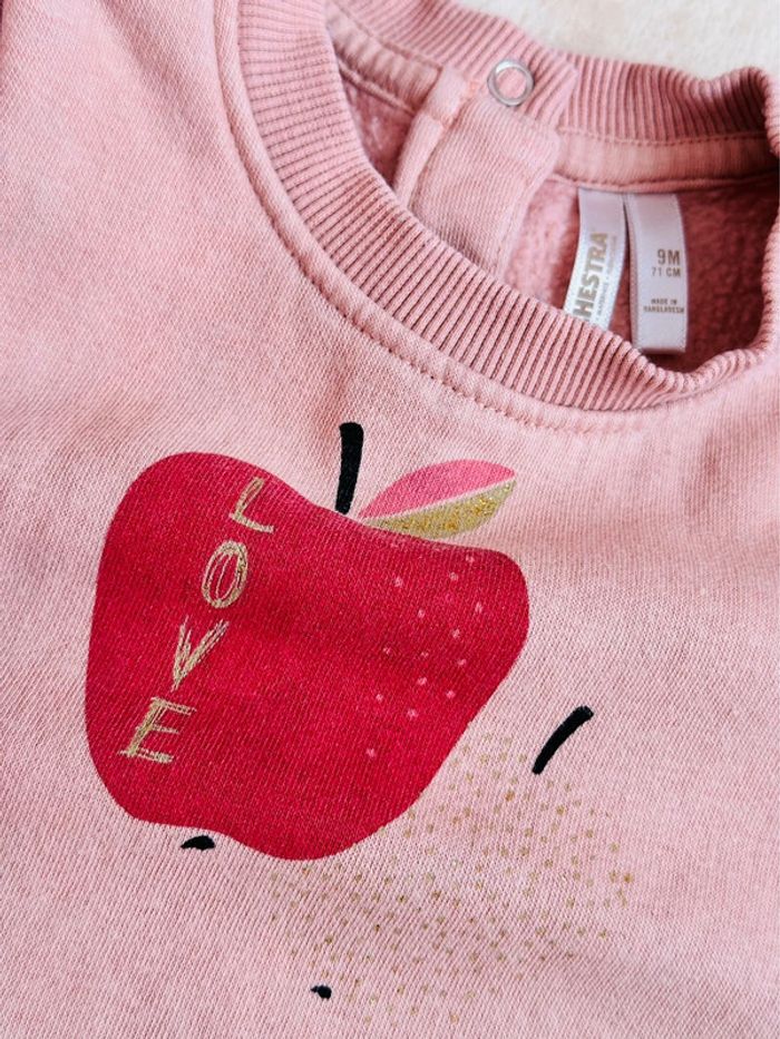 Pull rose orchestra - photo numéro 2