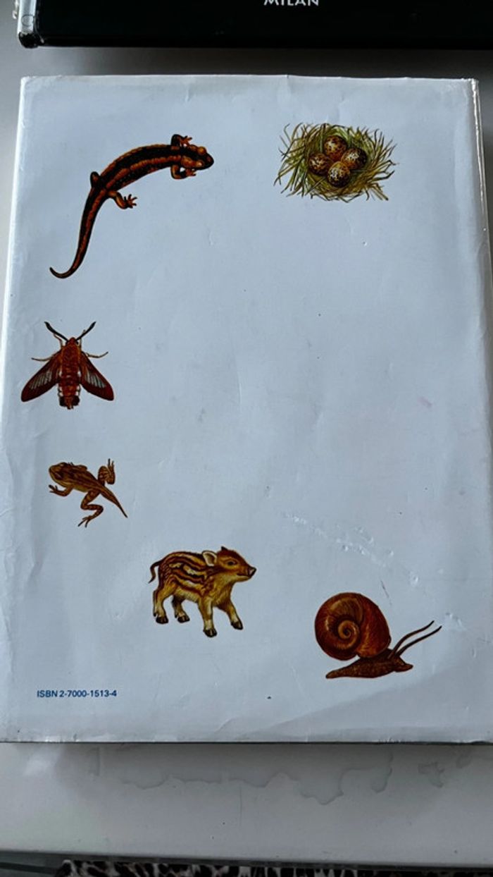 Animaux de tous les pays - photo numéro 2