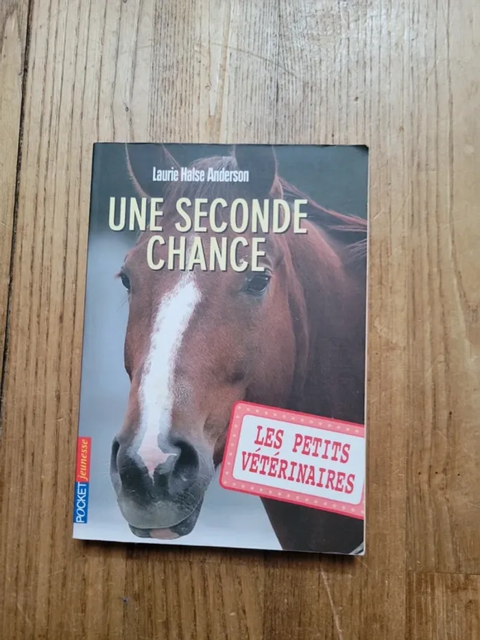 Lot de 2 livres de "Les petits vétérinaires" - photo numéro 5