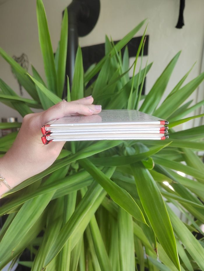 Lot de 2 livres "Max et Lili" - photo numéro 4