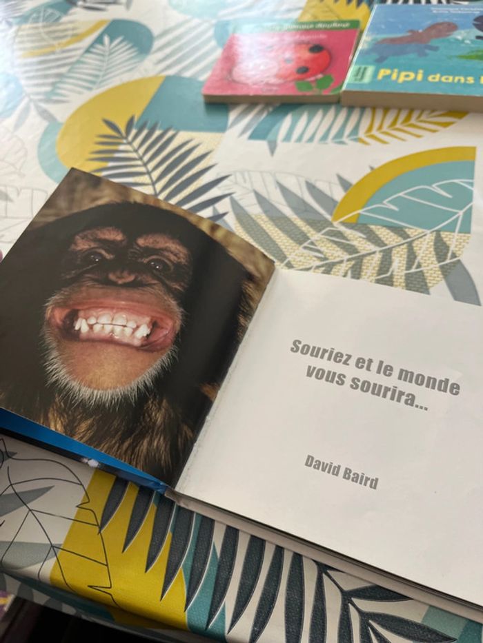 Petits livres - photo numéro 12
