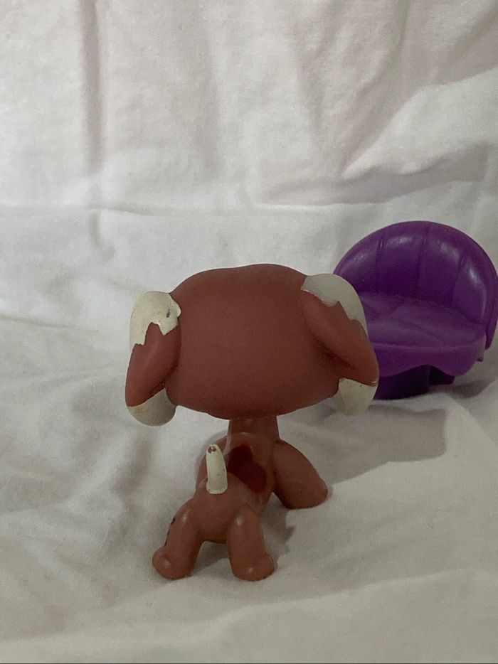 lps teckel rare - photo numéro 8