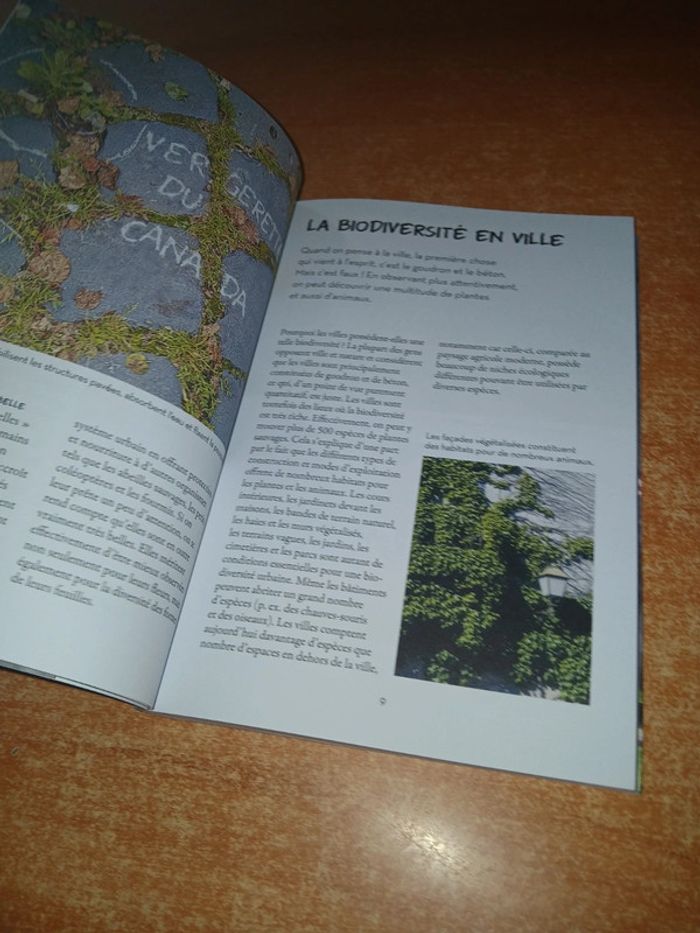 Qu'est-ce qui pousse dans ma rue? - photo numéro 6