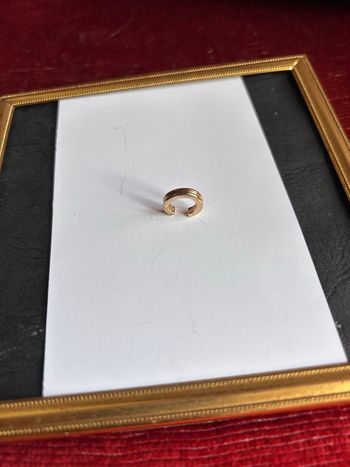 ✨ Superbe Earcuff Double Rang Doré - La Touche d'Élégance Sans Perçage ! 