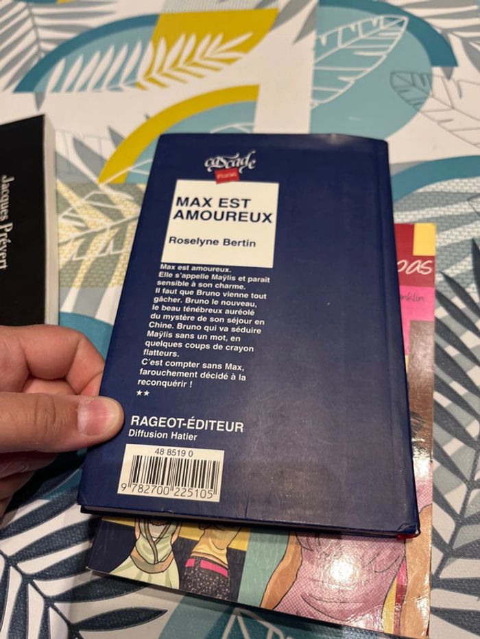 Livre ado et pré ado - photo numéro 12