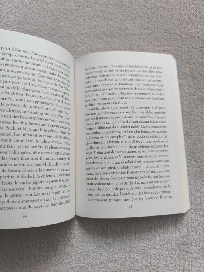 Livre l'appel de la forêt - photo numéro 2