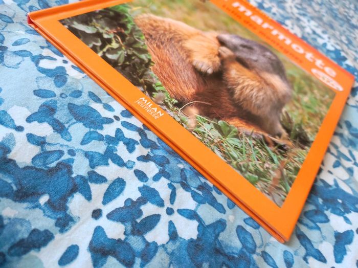 Livre album La Marmotte - photo numéro 5