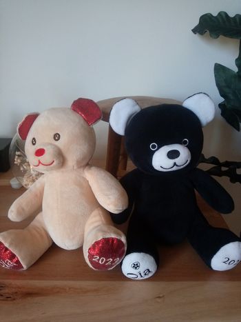 Lot 2 oursons 🐻 OIA état neuf